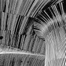Interior: Welsh Assembly Building